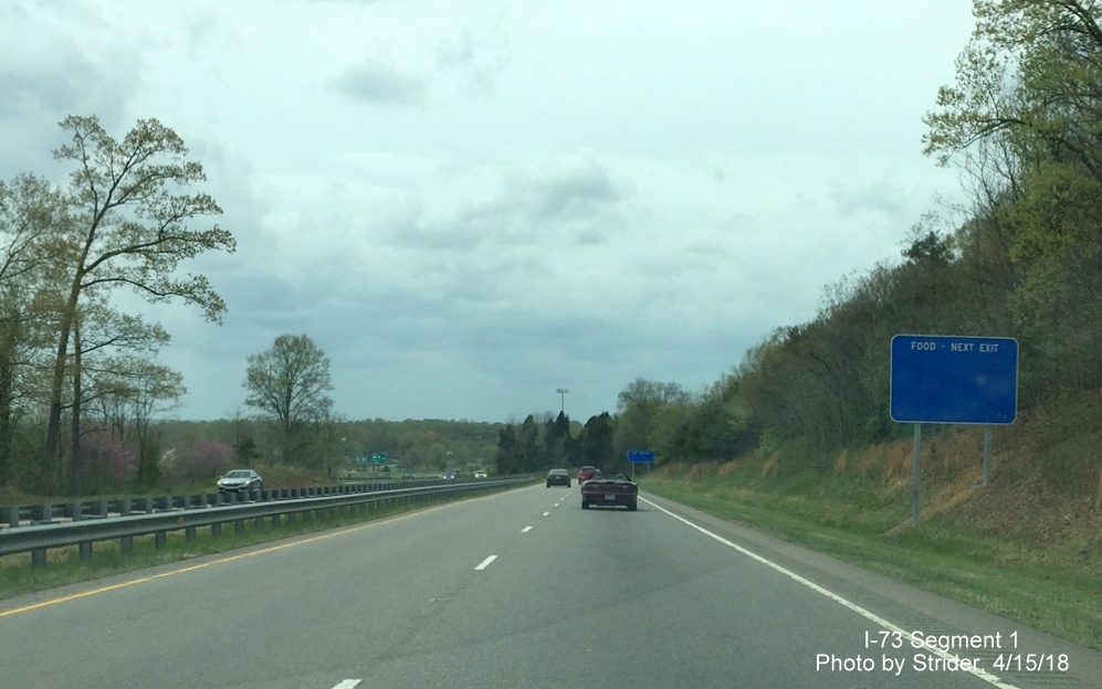 Image of one of several new blue service signs placed on US 220/US 311 North near US 311 North exit in Mayodan, from Strider