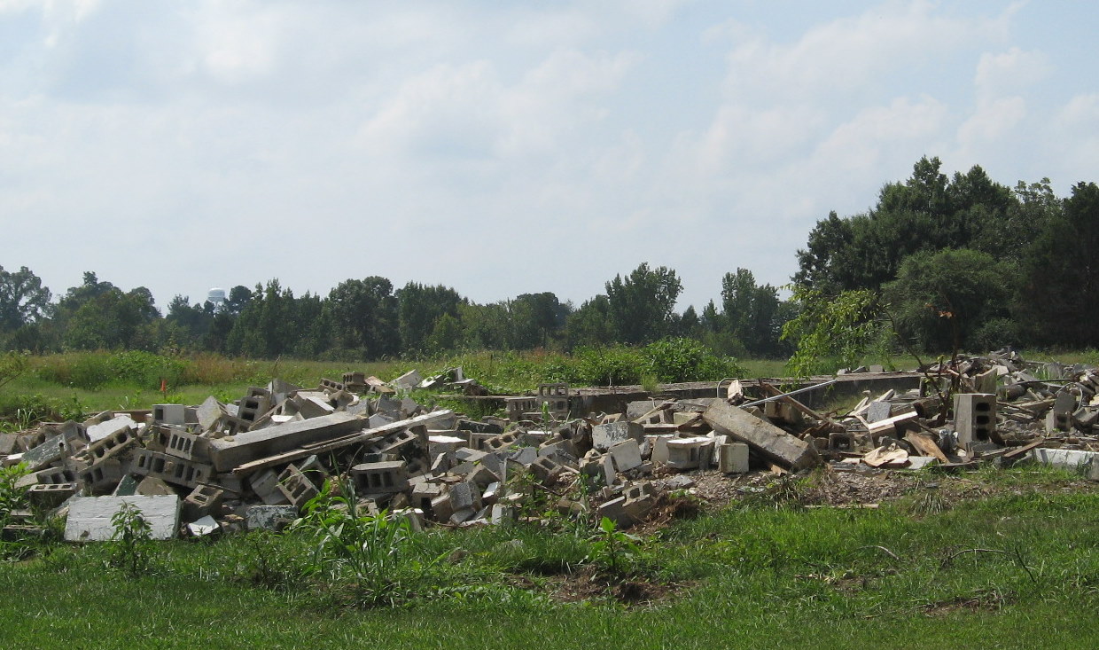 Photo of clearing that had taken place in vicinity of future Banner Whitehead 
Rd bridge in Aug. 2010